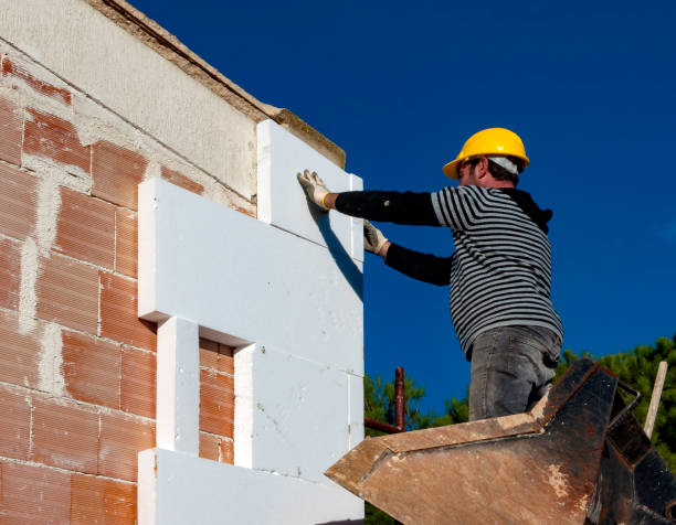 Best Residential Insulation in Ridge Wood Heights, FL