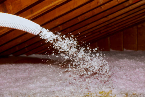 Best Insulation Maintenance and Repair in Ridge Wood Heights, FL