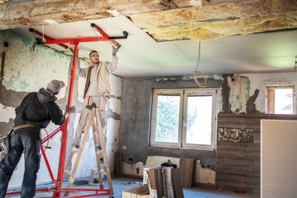 Best Insulation Materials and Products in Ridge Wood Heights, FL
