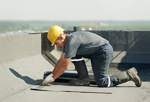 Best Specialty Insulation in Ridge Wood Heights, FL