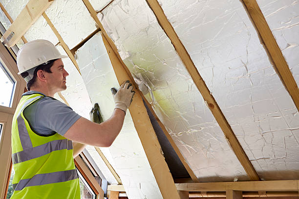 Best Energy Efficiency Solutions in Ridge Wood Heights, FL